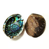 Abalone in Paradise - shell dish